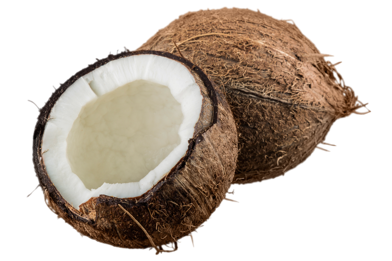 hel och halv delad mogen brun kokosnöt