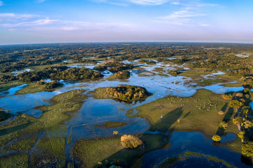 Världens största tropiska våtmarksområde Pantanal med omväxlande vatten, gräsmark och skog